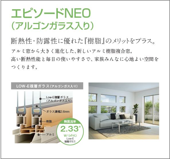 エピソードNEO